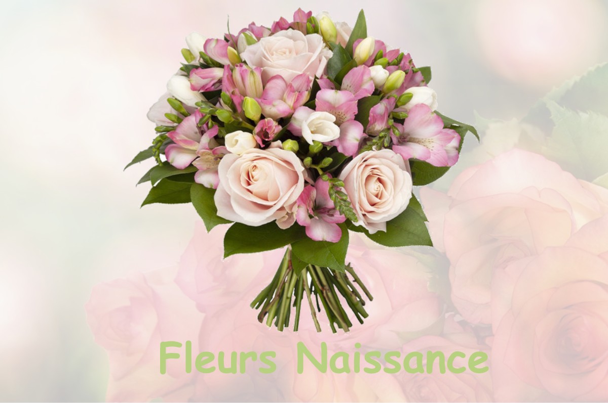 fleurs naissance JOURS-LES-BAIGNEUX